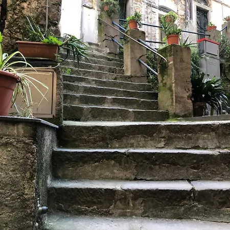 Rio In The Center In Appartement